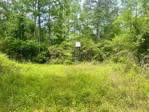 000 Jessie Stogner Rd, Sandy Hook, MS 39478 photo 32