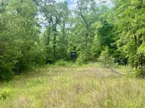 000 Jessie Stogner Rd, Sandy Hook, MS 39478 photo 5