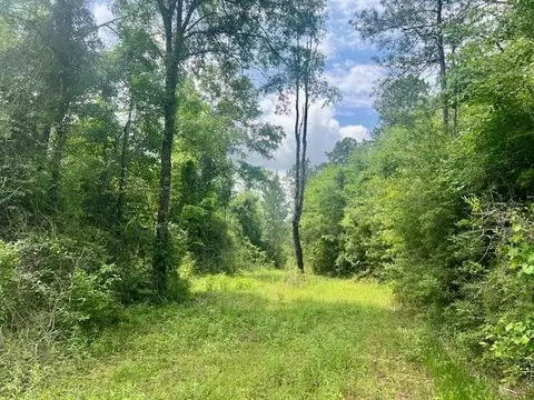 000 Jessie Stogner Rd, Sandy Hook, MS 39478