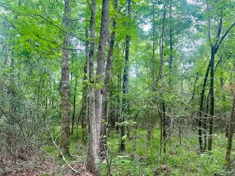 000 Jessie Stogner Rd, Sandy Hook, MS 39478 photo 12