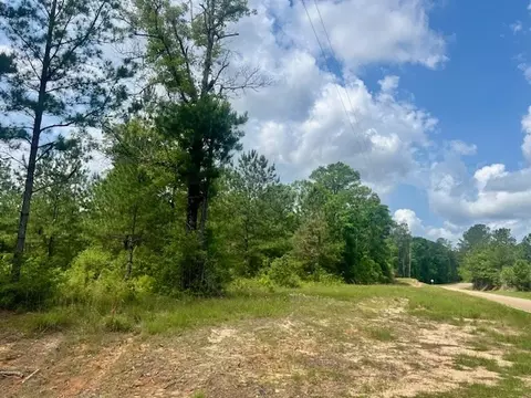000 Jessie Stogner Rd, Sandy Hook, MS 39478 photo 27