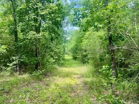 000 Jessie Stogner Rd, Sandy Hook, MS 39478 photo 29