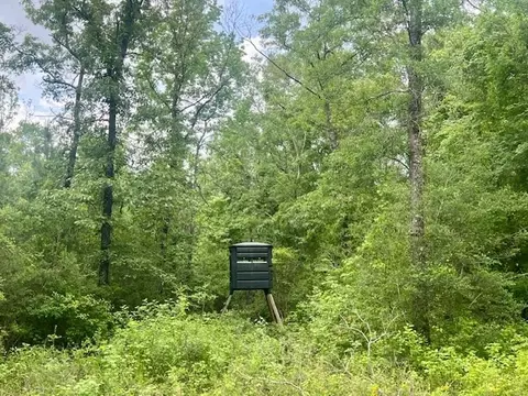 000 Jessie Stogner Rd, Sandy Hook, MS 39478 photo 7