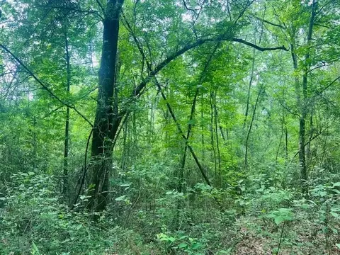 000 Jessie Stogner Rd, Sandy Hook, MS 39478 photo 11