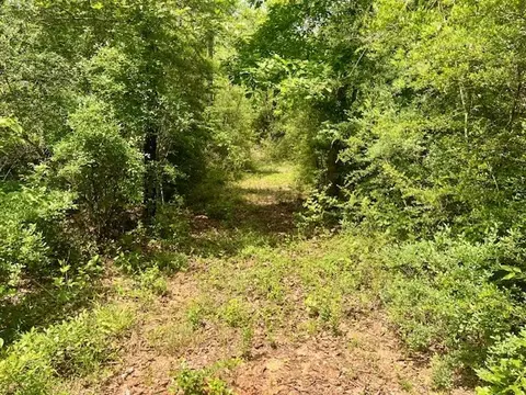 000 Jessie Stogner Rd, Sandy Hook, MS 39478 photo 21