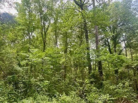 000 Jessie Stogner Rd, Sandy Hook, MS 39478 photo 10