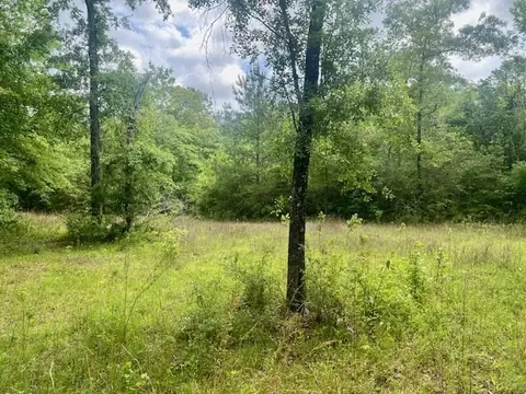 000 Jessie Stogner Rd, Sandy Hook, MS 39478 photo 9