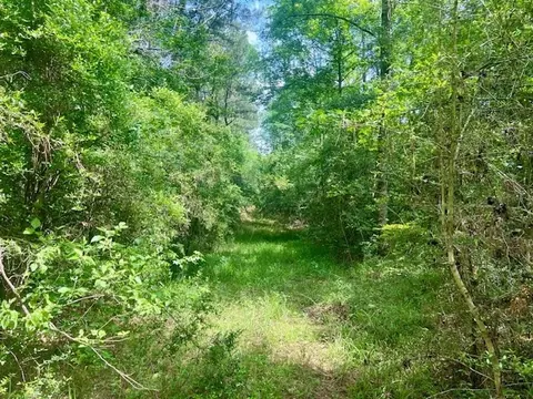 000 Jessie Stogner Rd, Sandy Hook, MS 39478 photo 15