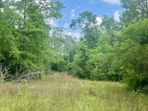 000 Jessie Stogner Rd, Sandy Hook, MS 39478 photo 6