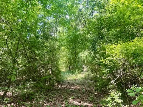 000 Jessie Stogner Rd, Sandy Hook, MS 39478 photo 23