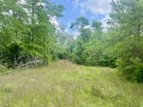 000 Jessie Stogner Rd, Sandy Hook, MS 39478 photo 8