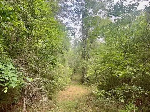 000 Jessie Stogner Rd, Sandy Hook, MS 39478 photo 14