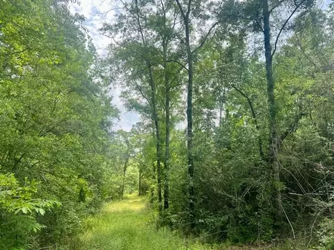 000 Jessie Stogner Rd, Sandy Hook, MS 39478 photo 4