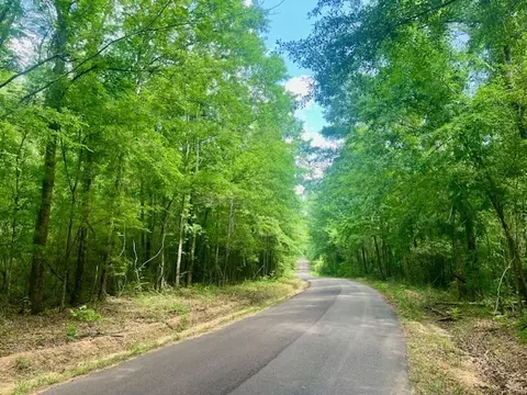 000 Jessie Stogner Rd, Sandy Hook, MS 39478 photo 26