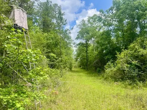 000 Jessie Stogner Rd, Sandy Hook, MS 39478 photo 3