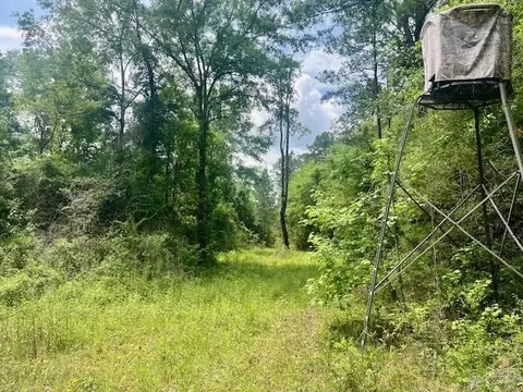 000 Jessie Stogner Rd, Sandy Hook, MS 39478 photo 2