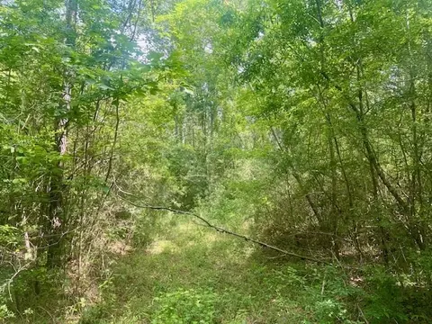 000 Jessie Stogner Rd, Sandy Hook, MS 39478 photo 19