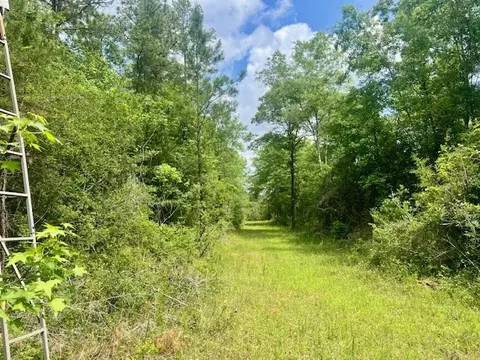 000 Jessie Stogner Rd, Sandy Hook, MS 39478 photo 31