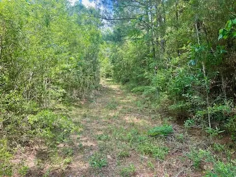 000 Jessie Stogner Rd, Sandy Hook, MS 39478 photo 20