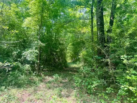 000 Jessie Stogner Rd, Sandy Hook, MS 39478 photo 24