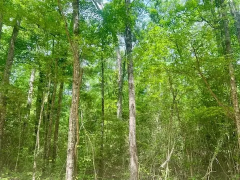 000 Jessie Stogner Rd, Sandy Hook, MS 39478 photo 35