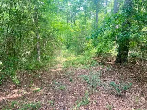 000 Jessie Stogner Rd, Sandy Hook, MS 39478 photo 18