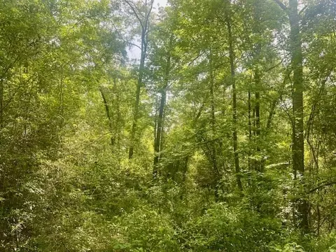 000 Jessie Stogner Rd, Sandy Hook, MS 39478 photo 16