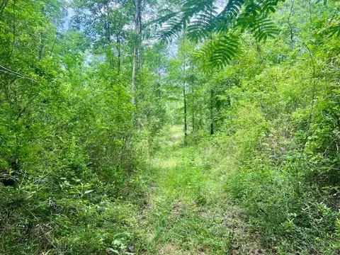 000 Jessie Stogner Rd, Sandy Hook, MS 39478 photo 34