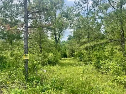 000 Jessie Stogner Rd, Sandy Hook, MS 39478 photo 28