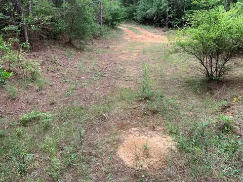 0000 Timberlane Rd, Wesson, MS 39191 photo 6