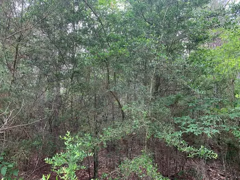 0000 Timberlane Rd, Wesson, MS 39191 photo 12