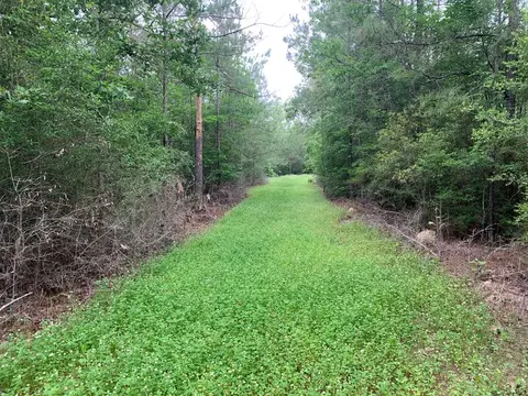 0000 Timberlane Rd, Wesson, MS 39191 photo 15