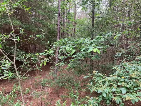 0000 Timberlane Rd, Wesson, MS 39191 photo 5