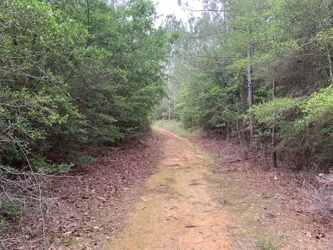 0000 Timberlane Rd, Wesson, MS 39191 photo 11