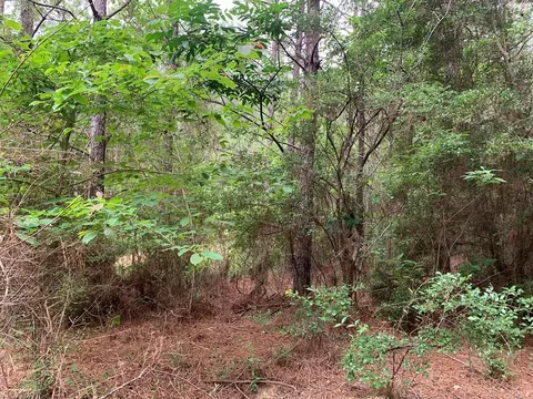 0000 Timberlane Rd, Wesson, MS 39191 photo 7
