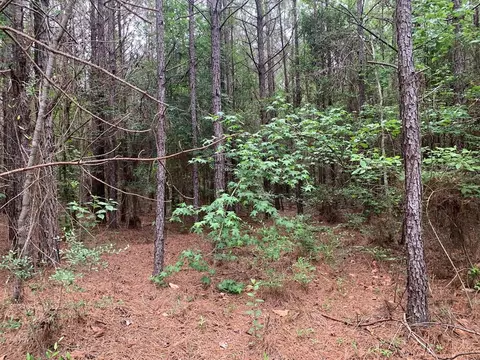0000 Timberlane Rd, Wesson, MS 39191 photo 4