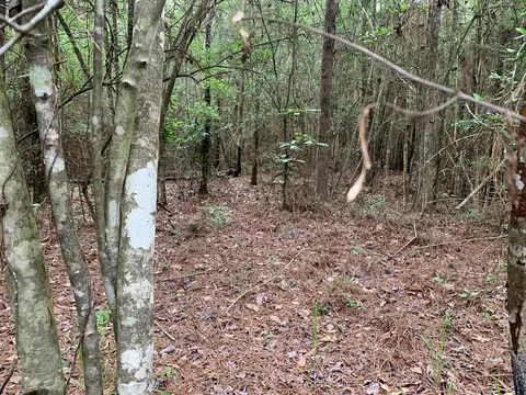 0000 Timberlane Rd, Wesson, MS 39191 photo 10