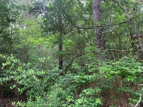 0000 Timberlane Rd, Wesson, MS 39191 photo 14