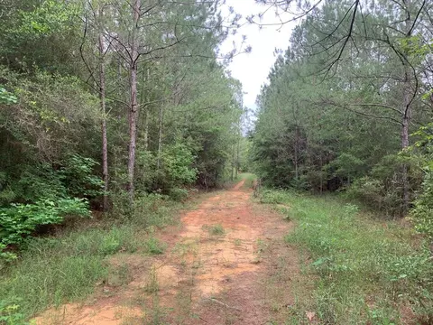 0000 Timberlane Rd, Wesson, MS 39191 photo 2