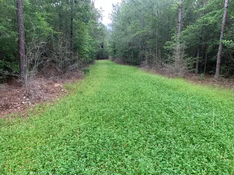 0000 Timberlane Rd, Wesson, MS 39191 photo 17
