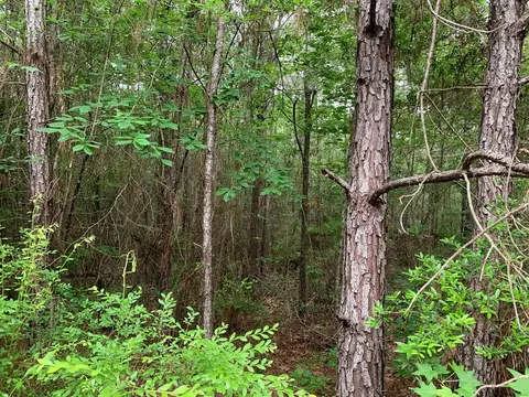0000 Timberlane Rd, Wesson, MS 39191 photo 9