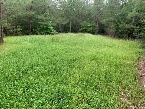 0000 Timberlane Rd, Wesson, MS 39191 photo 16