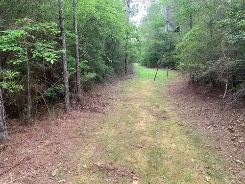 0000 Timberlane Rd, Wesson, MS 39191 photo 13