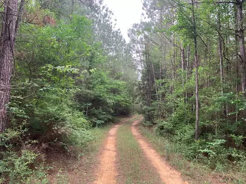 0000 Timberlane Rd, Wesson, MS 39191 photo 8
