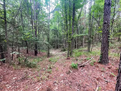 0000 John Chambers Rd, Roxie, MS 39661 photo 6