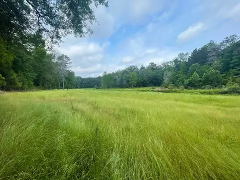 0000 John Chambers Rd, Roxie, MS 39661 photo 13