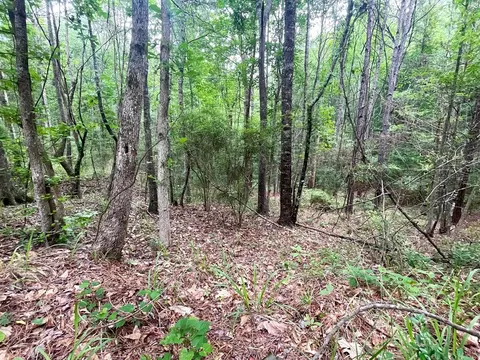 0000 John Chambers Rd, Roxie, MS 39661 photo 8