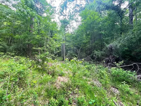 0000 John Chambers Rd, Roxie, MS 39661 photo 9