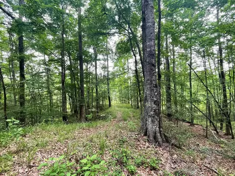 0000 John Chambers Rd, Roxie, MS 39661 photo 4