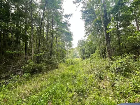 0000 John Chambers Rd, Roxie, MS 39661 photo 3